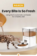 SmartMeal 2.0 – WiFi Automatic Pet Feeder with App Control (2L Capacity)
