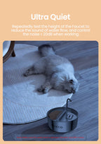 FeedStream Duo – 2-in-1 Stainless Steel Feeder & Water Fountain for Cats and Dogs