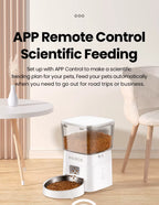 SmartMeal 2.0 – WiFi Automatic Pet Feeder with App Control (2L Capacity)