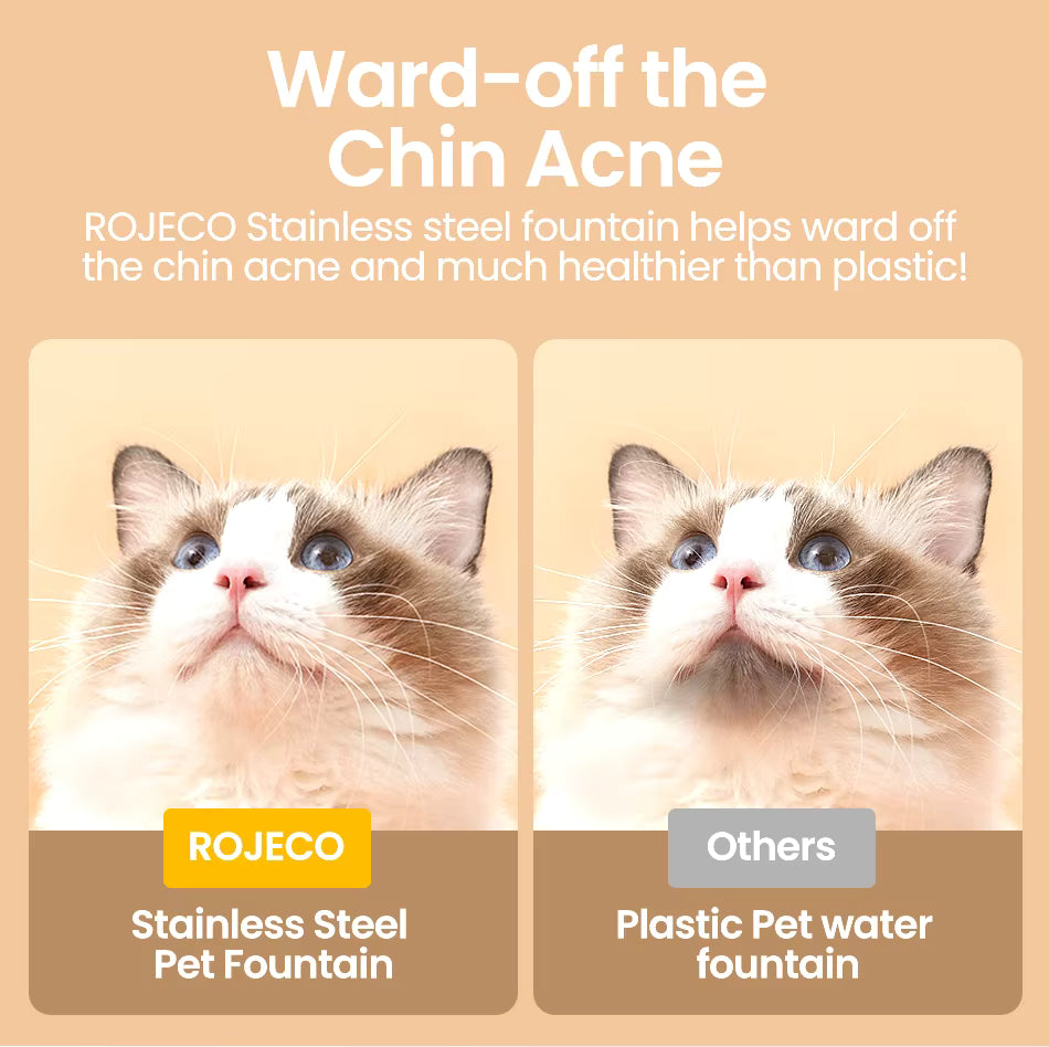 FeedStream Duo – 2-in-1 Stainless Steel Feeder & Water Fountain for Cats and Dogs