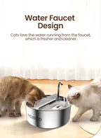 FeedStream Duo – 2-in-1 Stainless Steel Feeder & Water Fountain for Cats and Dogs
