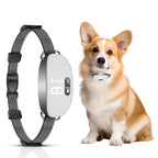 CalmBand – Smart No-Shock Bark Control Collar