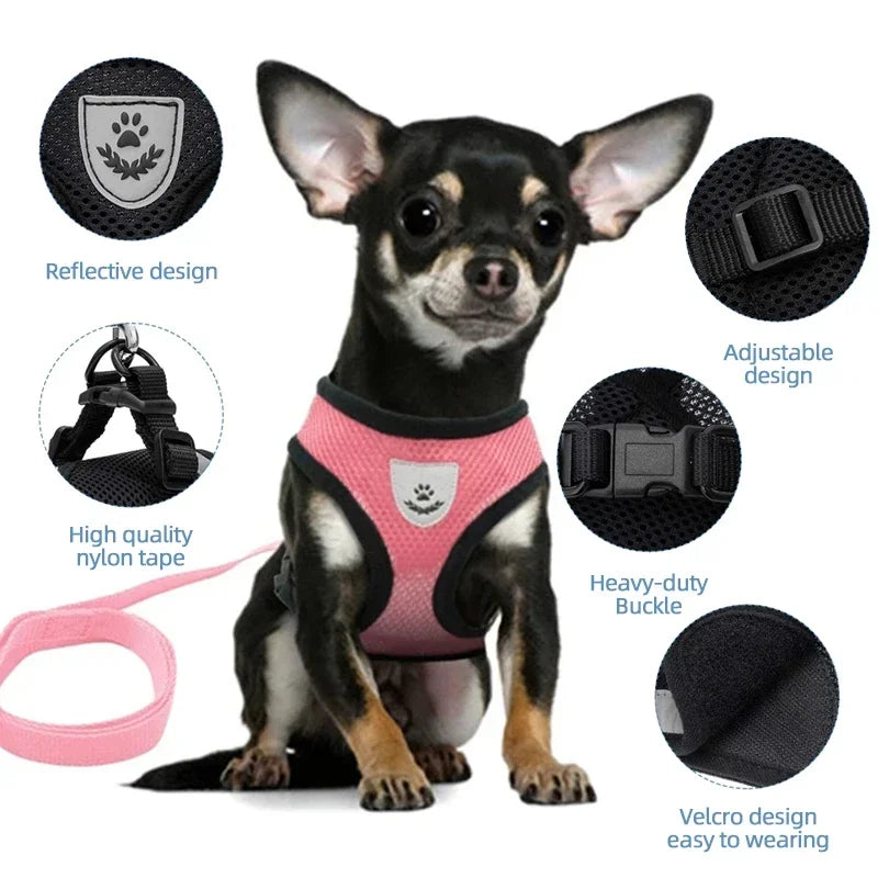 Cat & Small Pet Harness with Leash