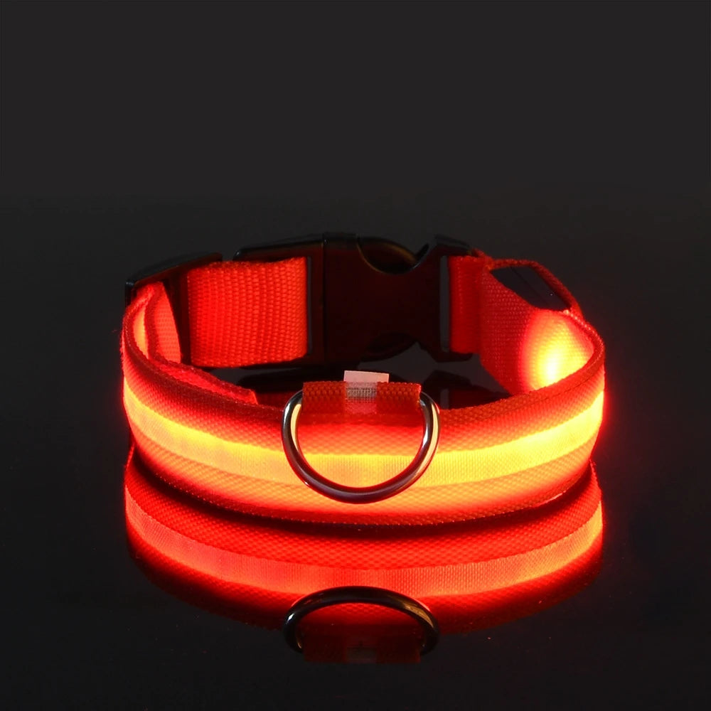 LED Night-Safe Luminous Dog Collar