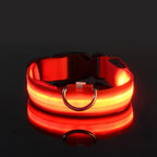 LED Night-Safe Luminous Dog Collar