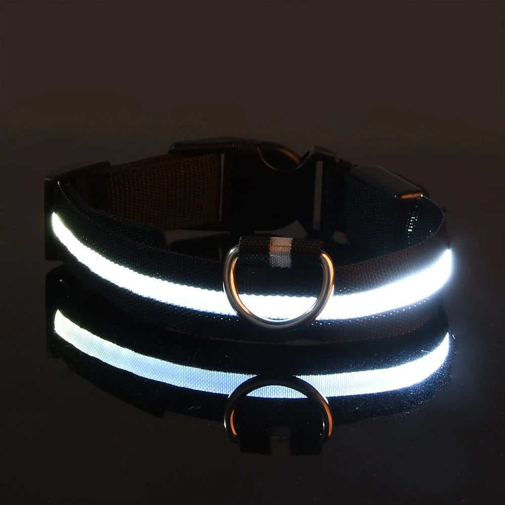 LED Night-Safe Luminous Dog Collar
