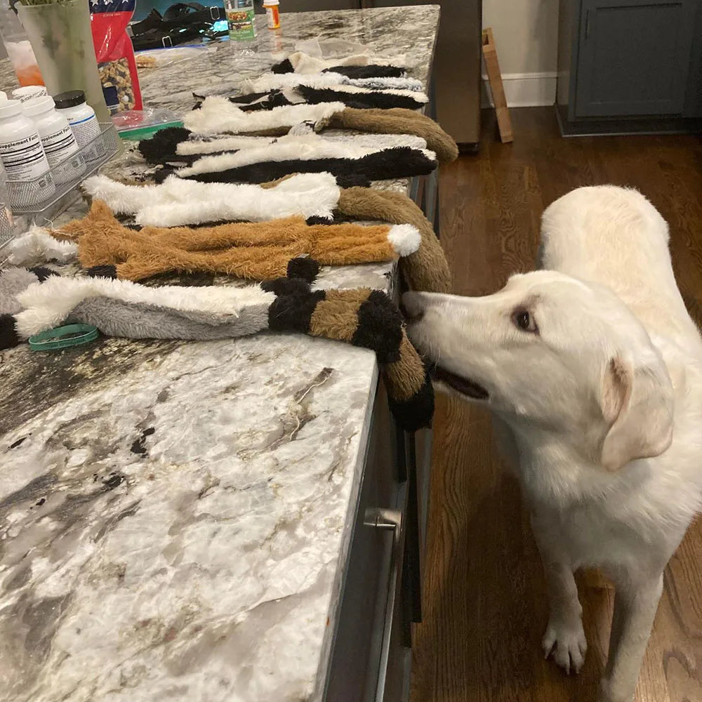 WildSqueak - Stuffing-Free Plush Toy with Dual Squeakers (Very Funny!)