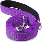 Night-Safe Reflective Dog Walking Leash