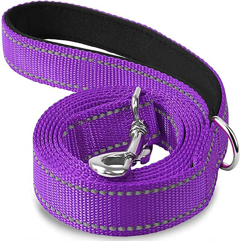 Night-Safe Reflective Dog Walking Leash