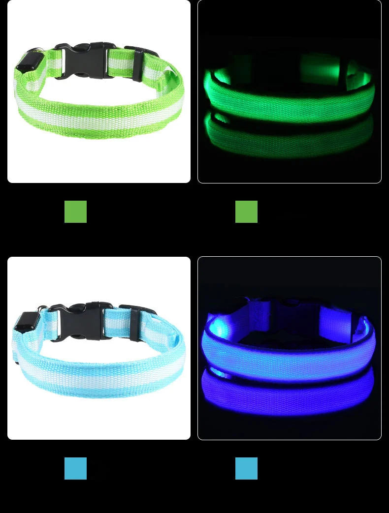 LED Night-Safe Luminous Dog Collar