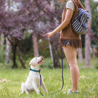 WolfOne™ Long-Range Dual-Color Training Leash