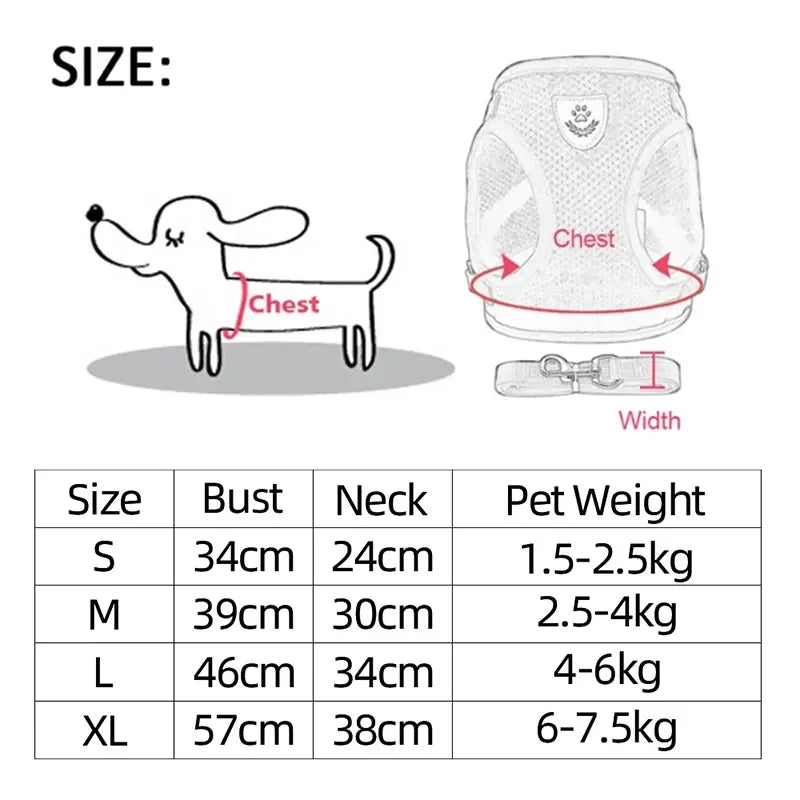 Cat & Small Pet Harness with Leash
