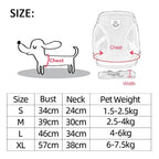 Cat & Small Pet Harness with Leash
