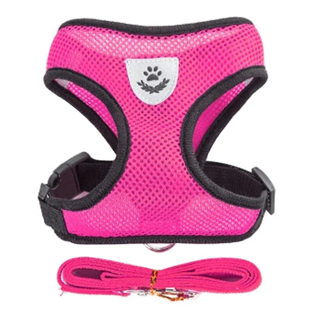 Cat & Small Pet Harness with Leash