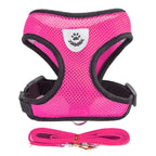 Cat & Small Pet Harness with Leash