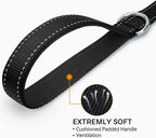 Night-Safe Reflective Dog Walking Leash