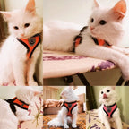 Cat & Small Pet Harness with Leash