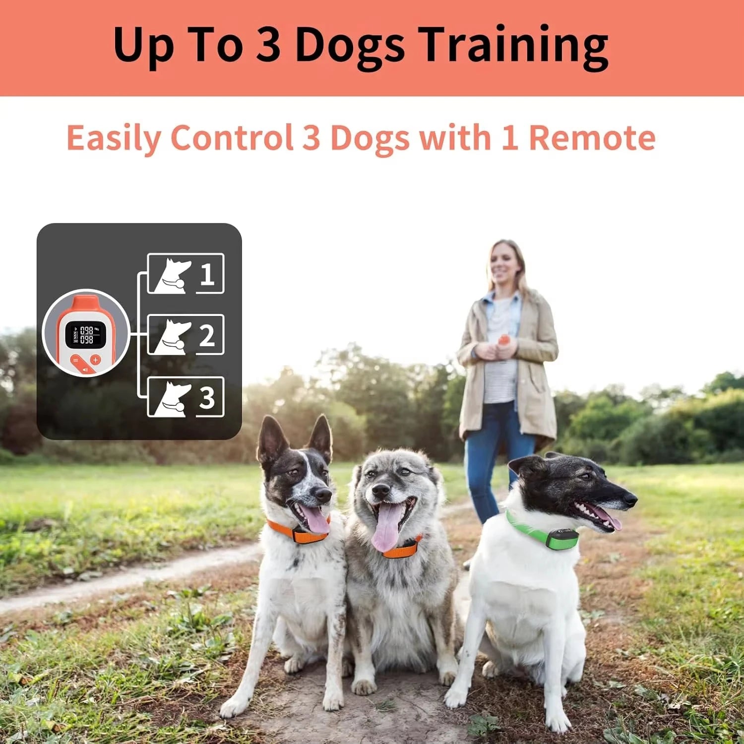 No Shock Dog Training Collar with Dog Training Clicker