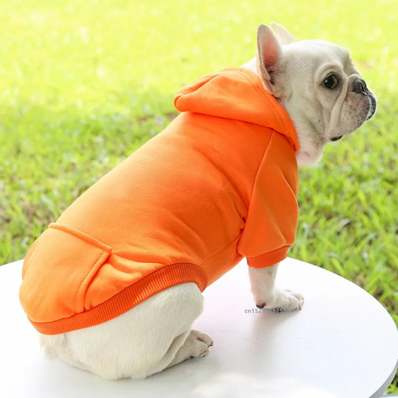 Winter Hooded Sweatshirt for Dogs & Cats