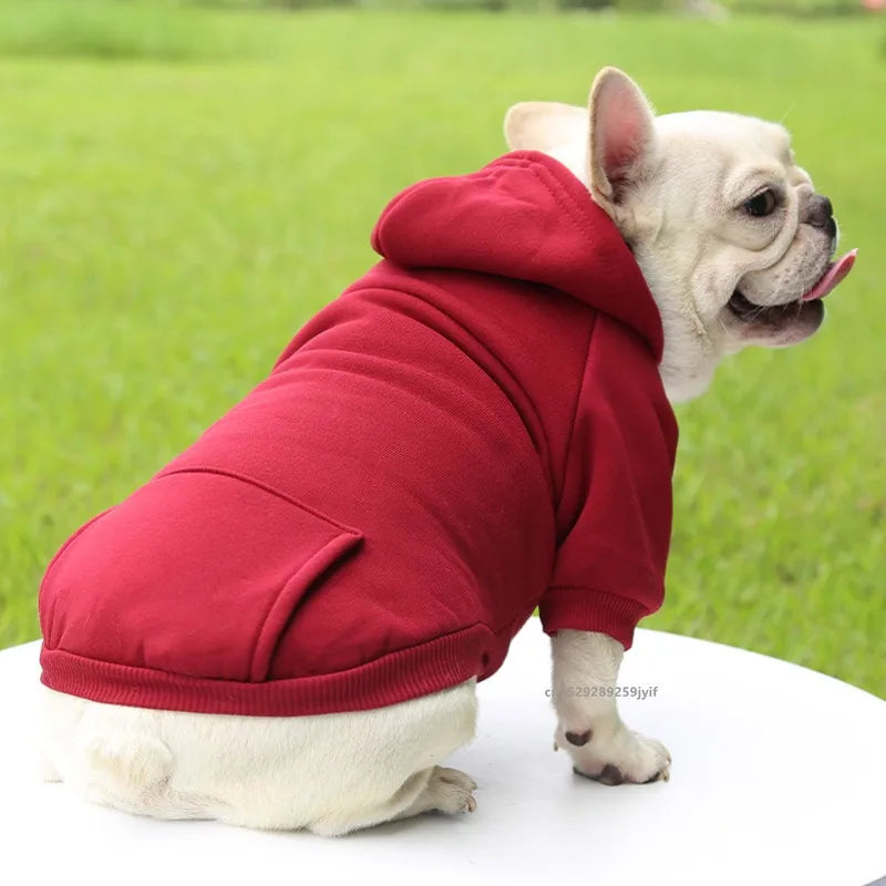 Winter Hooded Sweatshirt for Dogs & Cats
