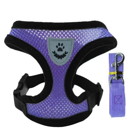 Cat & Small Pet Harness with Leash