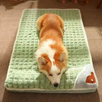 Orthopedic Pet Bed - Memory Foam Pet Cushion