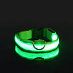 LED Night-Safe Luminous Dog Collar