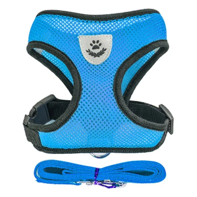 Cat & Small Pet Harness with Leash
