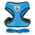 Cat & Small Pet Harness with Leash