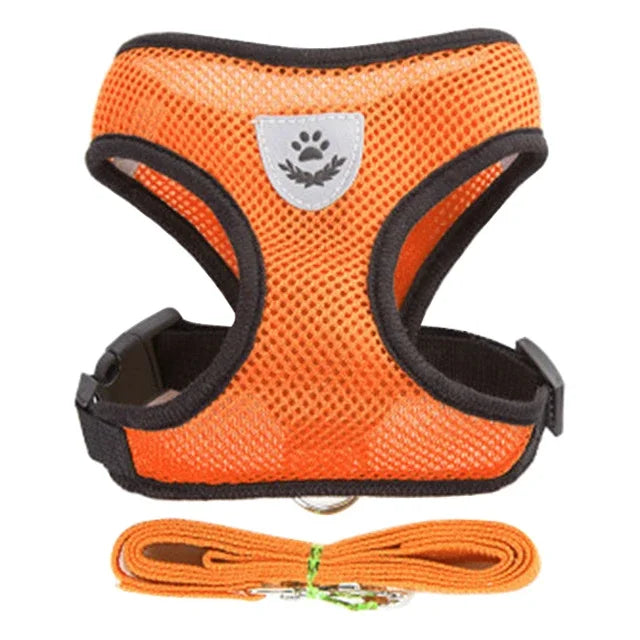Cat & Small Pet Harness with Leash
