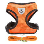 Cat & Small Pet Harness with Leash