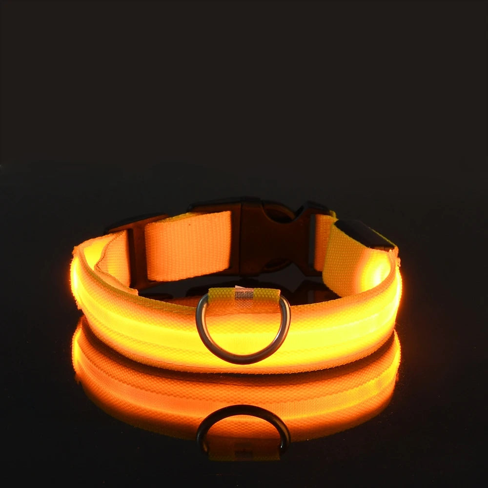LED Night-Safe Luminous Dog Collar