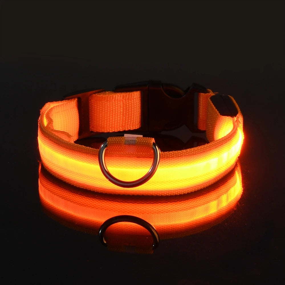 LED Night-Safe Luminous Dog Collar