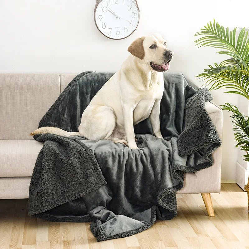 Ultra-Soft & Fast-Drying Pet Towel