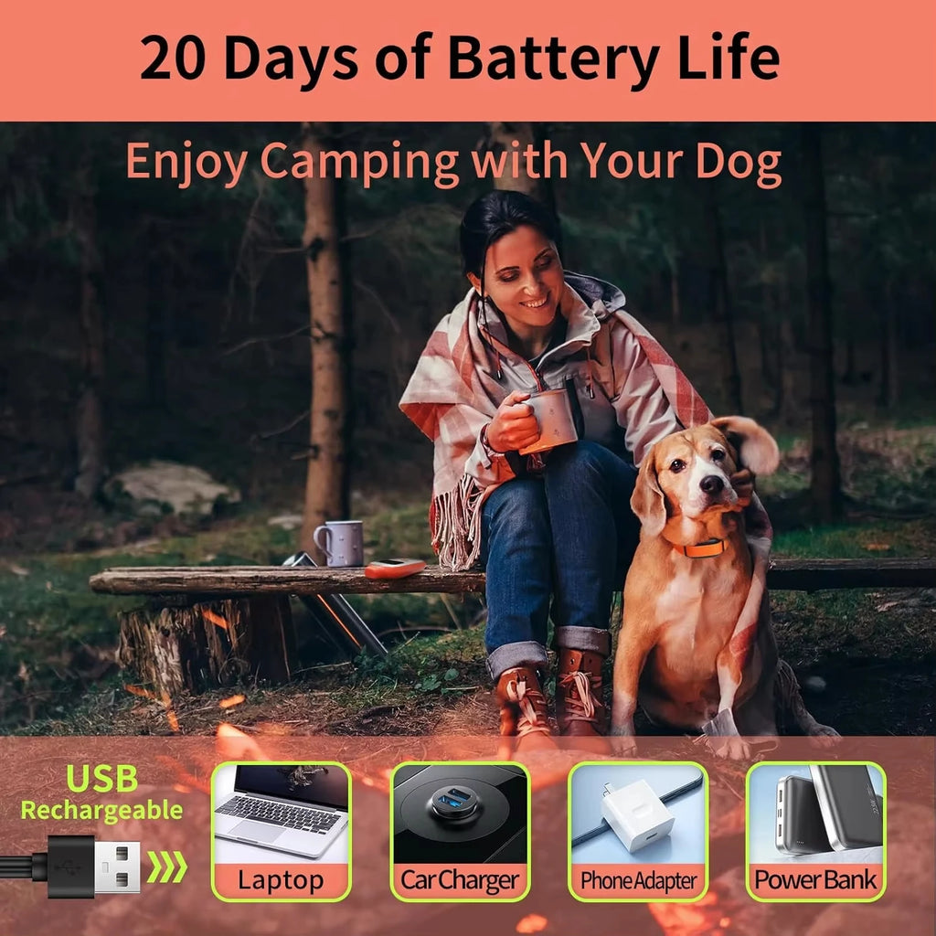 No Shock Dog Training Collar with Dog Training Clicker