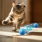 MotionSphere – Smart Interactive Pet Ball
