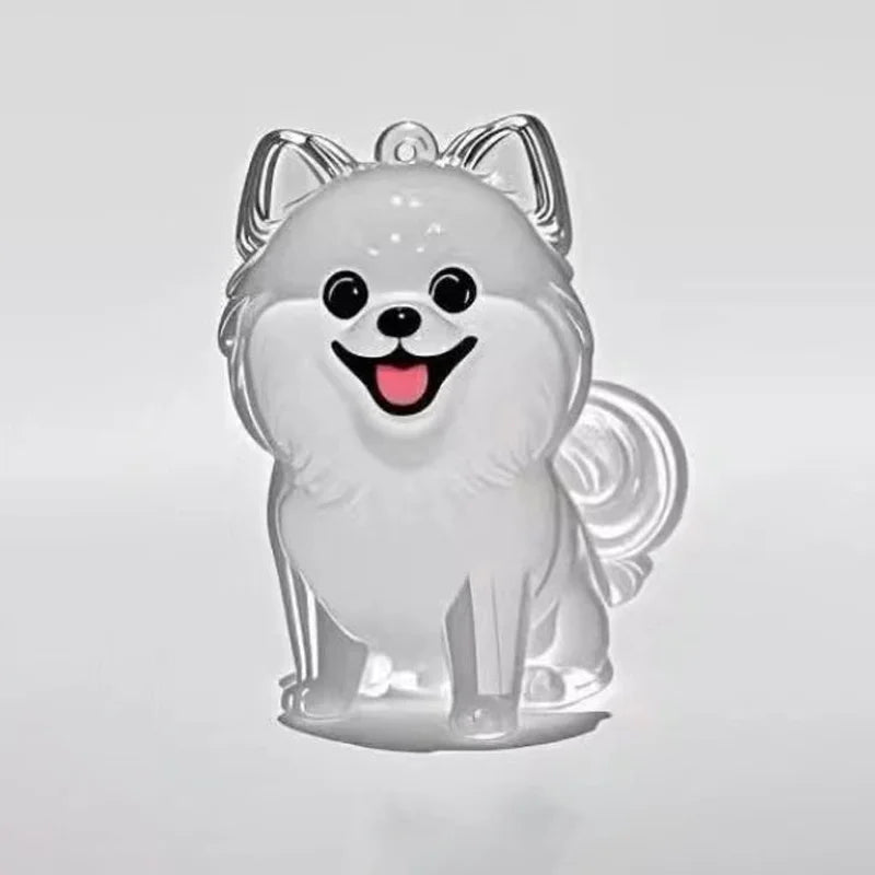 PetMemory – Clear Pet Fur Keepsake Keychain