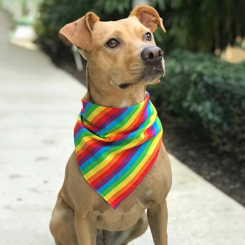 PrideBand – Rainbow Dog Bandana