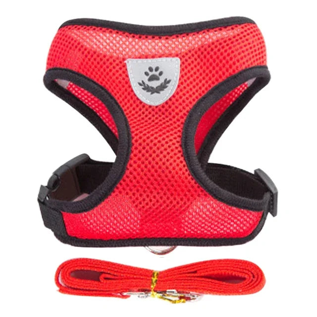 Cat & Small Pet Harness with Leash