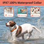 No Shock Dog Training Collar with Dog Training Clicker