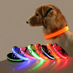 LED Night-Safe Luminous Dog Collar