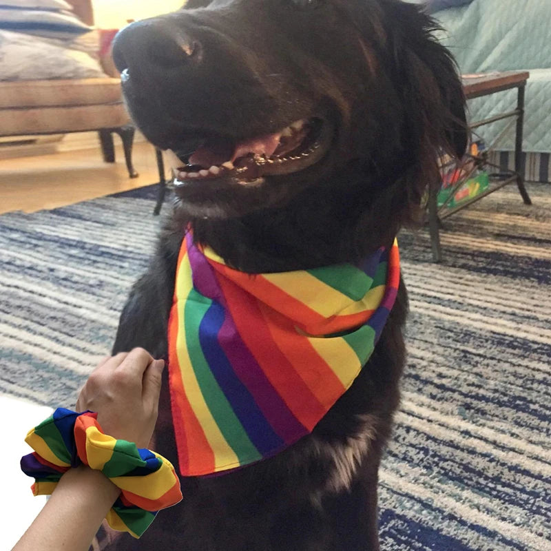 PrideBand – Rainbow Dog Bandana