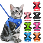 Cat & Small Pet Harness with Leash