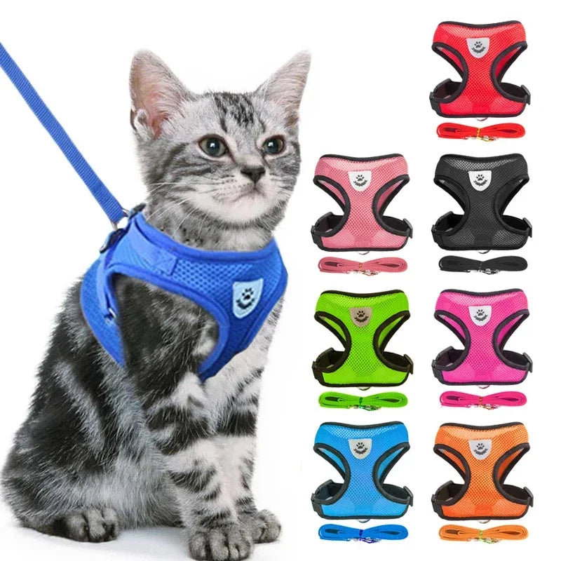 Cat & Small Pet Harness with Leash