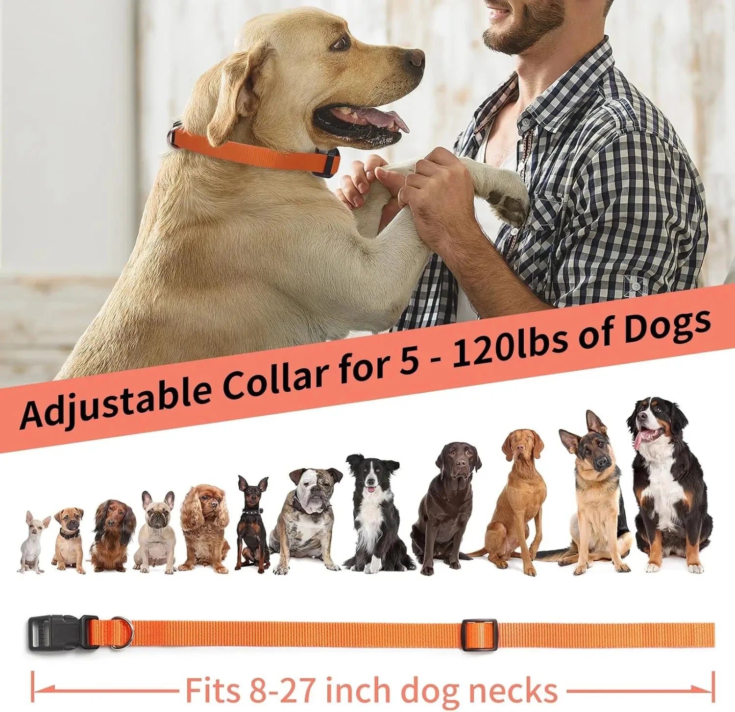 No Shock Dog Training Collar with Dog Training Clicker