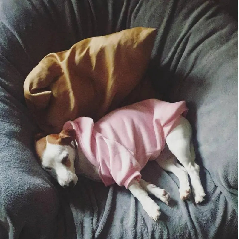 TheDogFace – Cozy Windproof Dog Hoodie