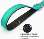 Night-Safe Reflective Dog Walking Leash