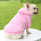 Winter Hooded Sweatshirt for Dogs & Cats