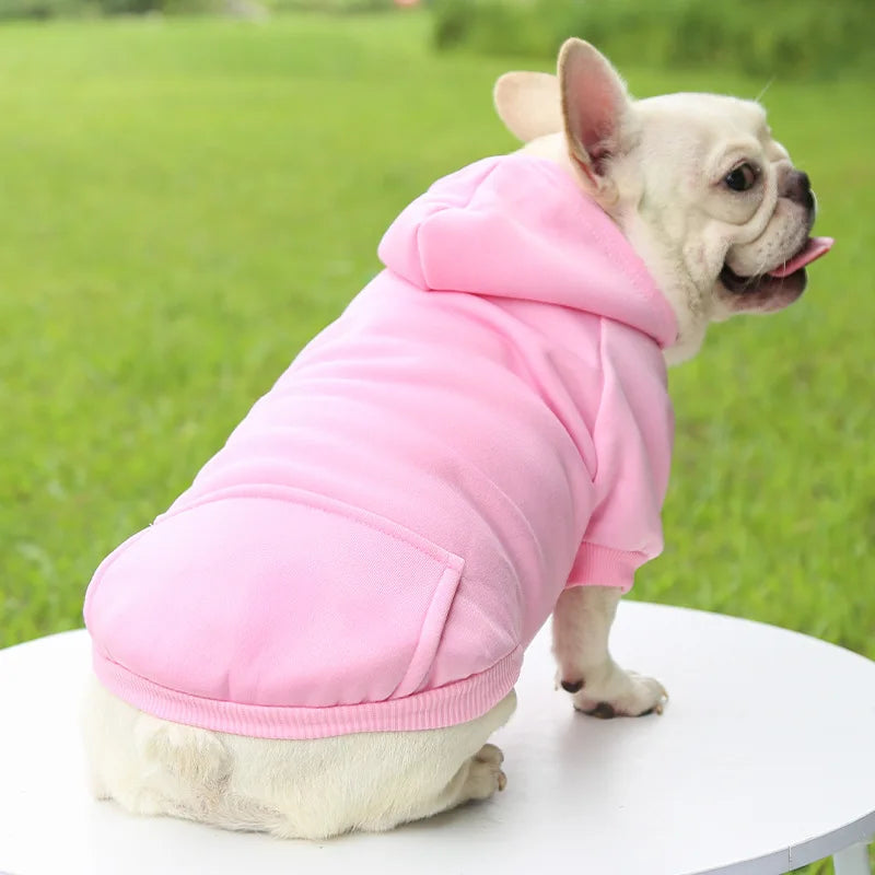 Winter Hooded Sweatshirt for Dogs & Cats