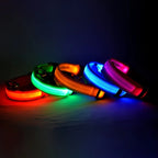 LED Night-Safe Luminous Dog Collar